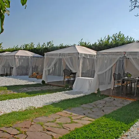 Hotel Jardines Del Plaza Borja