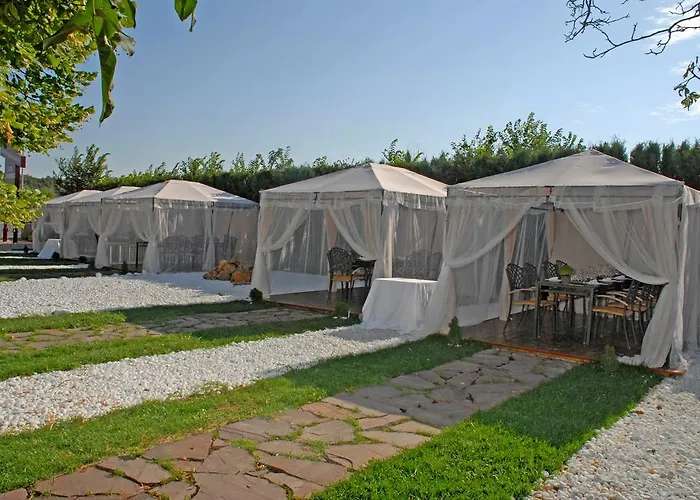 Hotel Jardines Del Plaza Borja